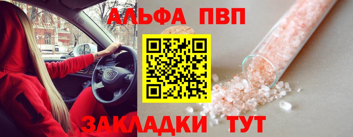Alfa_PVP СК КРИС Коряжма