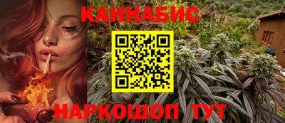индика Кинель
