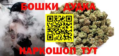 индика Кинель