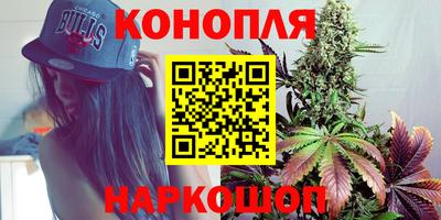 индика Кинель