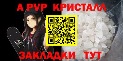 круглые Кингисепп