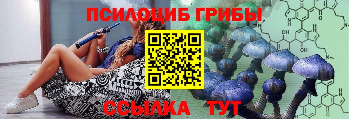 Псилоцибиновые грибы GOLDEN TEACHER Коряжма
