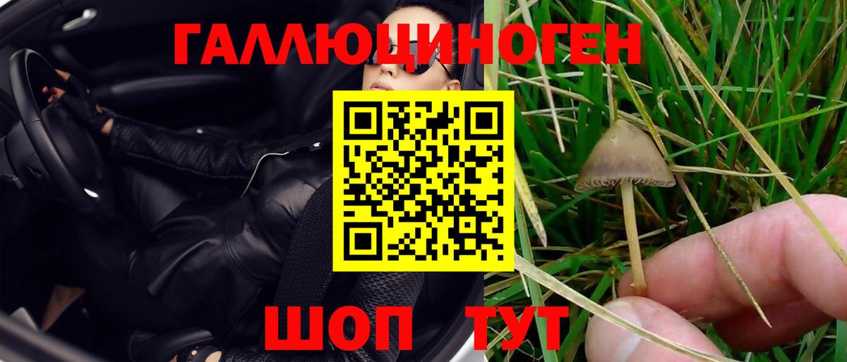 Коряжма  Галлюциногенные грибы прущие грибы  Псилоцибиновые грибы мухоморы  Вход с VPN 